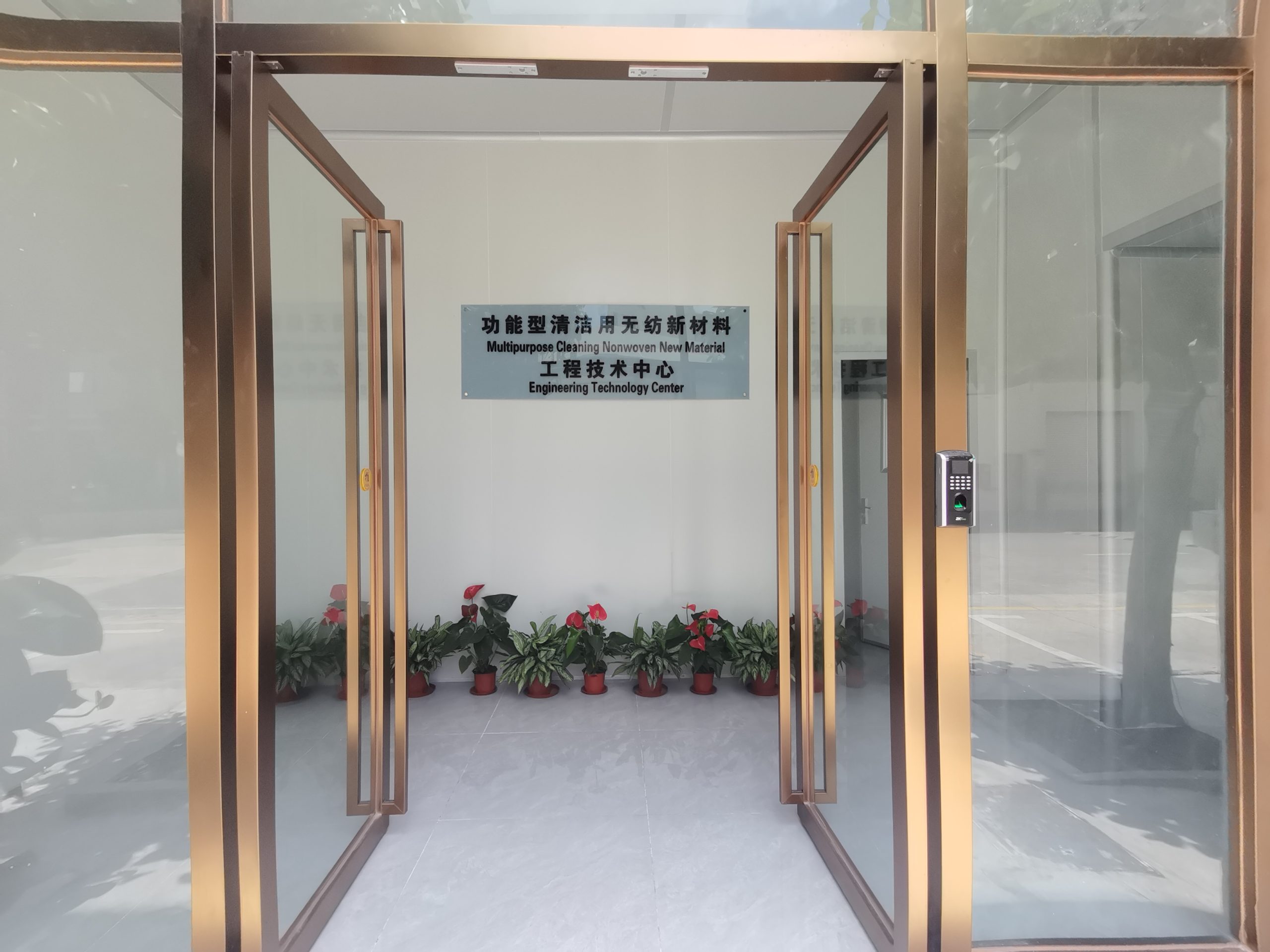 Disposable Wash Gloves